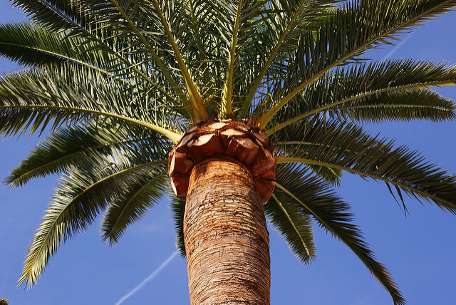 2929336358_1f97bc7308_z