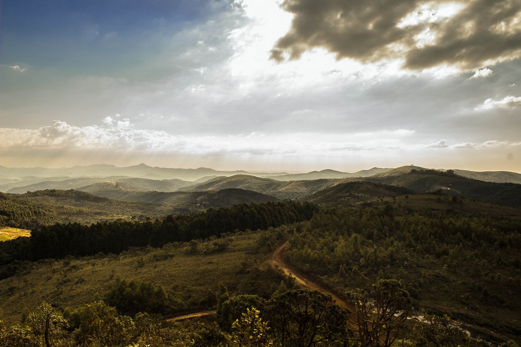 landscape.JPG