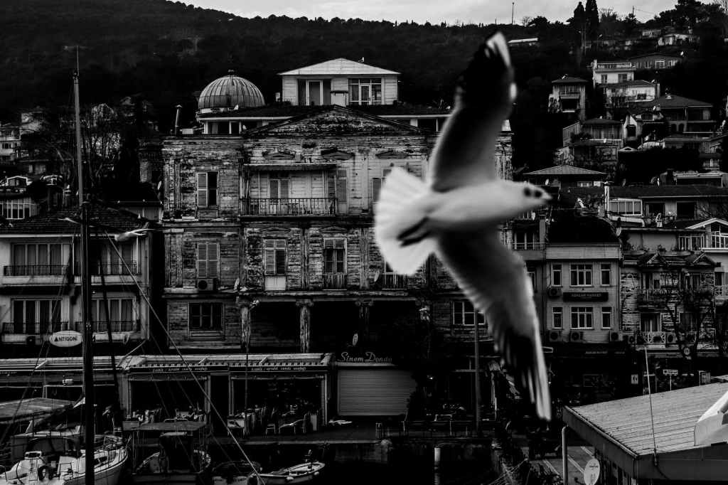 The Spirit without measure. Studying John&nbsp;3:34-36